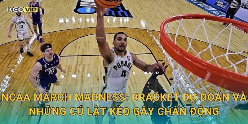 NCAA March Madness: Bracket dự đoán và những cú lật kèo gây chấn động