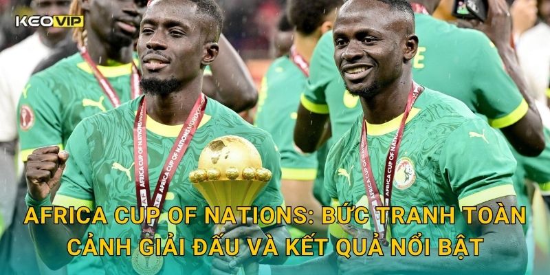 Africa Cup of Nations: Bức tranh toàn cảnh giải đấu và kết quả nổi bật