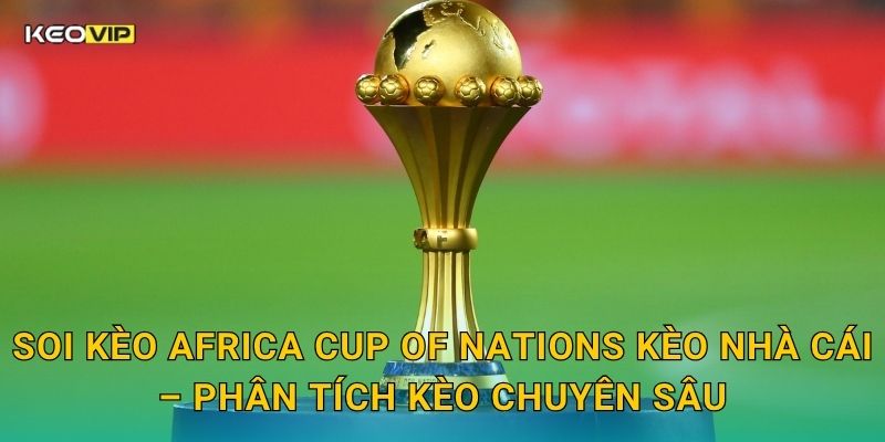 Soi kèo Africa Cup of Nations Kèo nhà cái – Phân tích kèo chuyên sâu