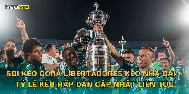 Soi kèo Copa Libertadores Kèo nhà cái – Tỷ lệ kèo hấp dẫn cập nhật liên tục